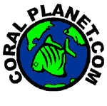 Coral Planet